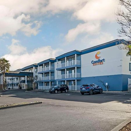 Comfort Suites Red Bluff Near I-5 Dış mekan fotoğraf